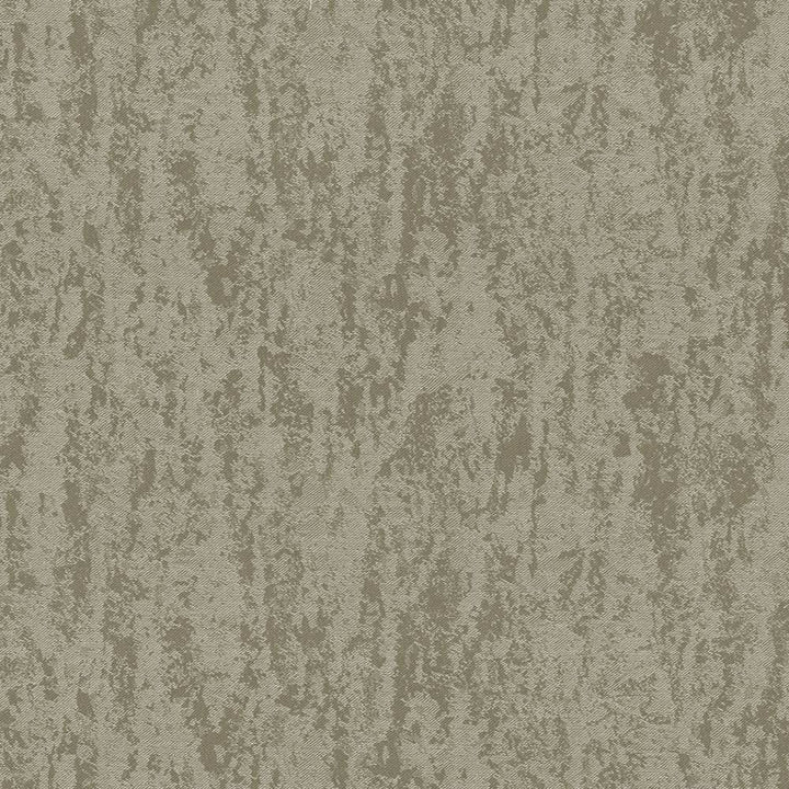Sgraffito Fawn by Kasmir Fabric 5027 51% Cotton
49% Polyester
 TAIWAN </p><p>Repeat: Horizontal: N/A and Vertical: N/A 54 - 55 - Fabric Carolina -