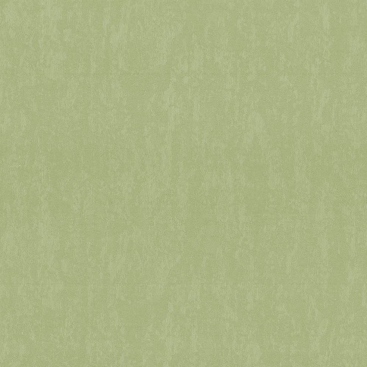 Sgraffito Fennel by Kasmir Fabric 5027 51% Cotton
49% Polyester
 TAIWAN </p><p>Repeat: Horizontal: N/A and Vertical: N/A 54 - 55 - Fabric Carolina -