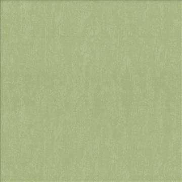 Sgraffito Fennel by Kasmir Fabric 5027 51% Cotton 49% Polyester TAIWAN 30,000 Wyzenbeek Double Rubs H: N/A, V: N/A 54 - 55 - Fabric Carolina - Kasmir