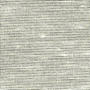 Sh365 Bone by Kasmir Fabric 1283 100% Polyester USA - H: N/A, V: N/A 118 - Fabric Carolina - Kasmir