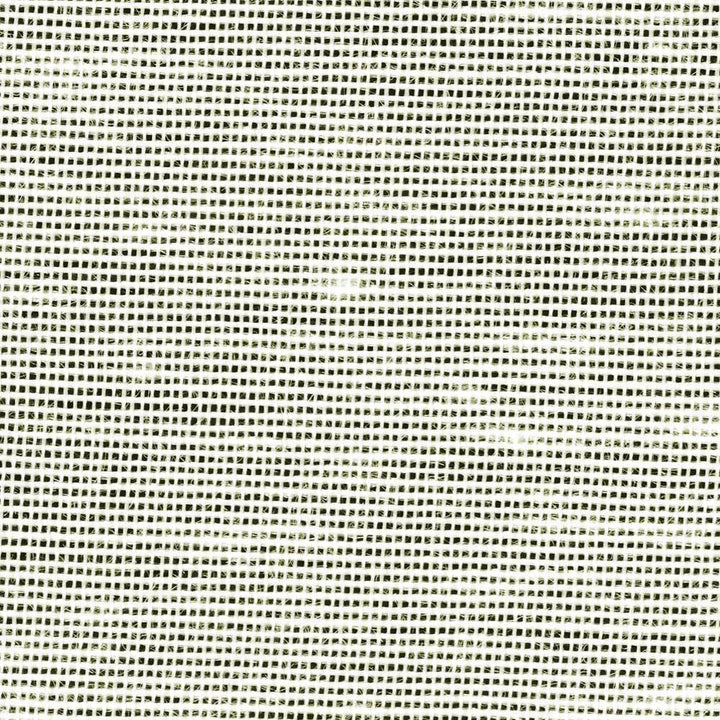 Sh365 Bone by Kasmir Fabric 1283 USA H: N/A, V:N/A 118 - Fabric Carolina - Kasmir