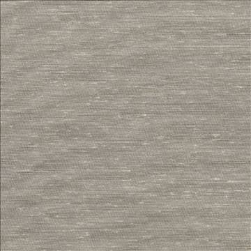 Sh365 Champagne by Kasmir Fabric 1283 100% Polyester USA - H: N/A, V: N/A 118 - Fabric Carolina - Kasmir