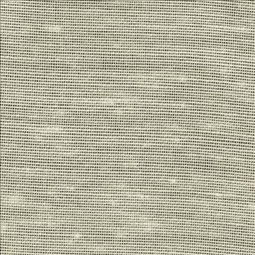 Sh365 Marble by Kasmir Fabric 1283 100% Polyester USA - H: N/A, V: N/A 118 - Fabric Carolina - Kasmir