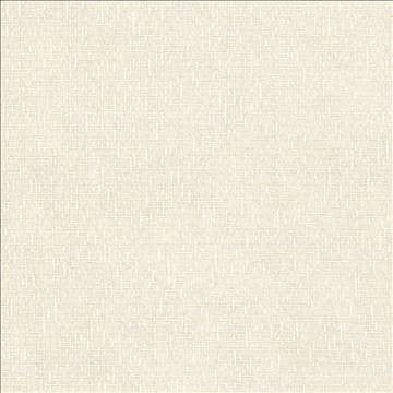 Sh680 Linen by Kasmir Fabric 1301 100% Polyester TURKEY - H: N/A, V: N/A 118 - Fabric Carolina - Kasmir