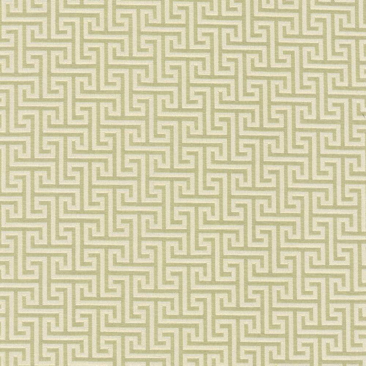 Shandong Stem by Kasmir Fabric 5090 INDIA 30,000 Wyzenbeek Double Rubs H: 9 2/8 inches, V:6 7/8 inches 54 - 55 - Fabric Carolina - Kasmir