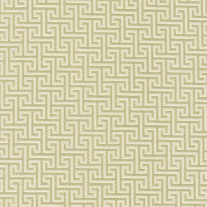 Shandong Stem by Kasmir Fabric