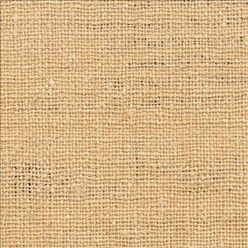 Shangri La Beige by Kasmir Fabric 1410 100% Silk INDIA Not Tested H: N/A, V: N/A 54 - 55 - Fabric Carolina - Kasmir