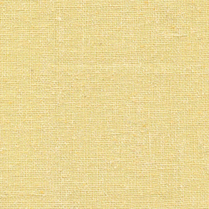 Shangri La Champagne by Kasmir Fabric 1410 INDIA Not Tested H: N/A, V:N/A 54 - 55 - Fabric Carolina - Kasmir