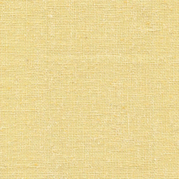 Shangri La Champagne by Kasmir Fabric 1410 100% Silk
 INDIA Not Tested </p><p>Repeat: Horizontal: N/A and Vertical: N/A 54 - Fabric Carolina -