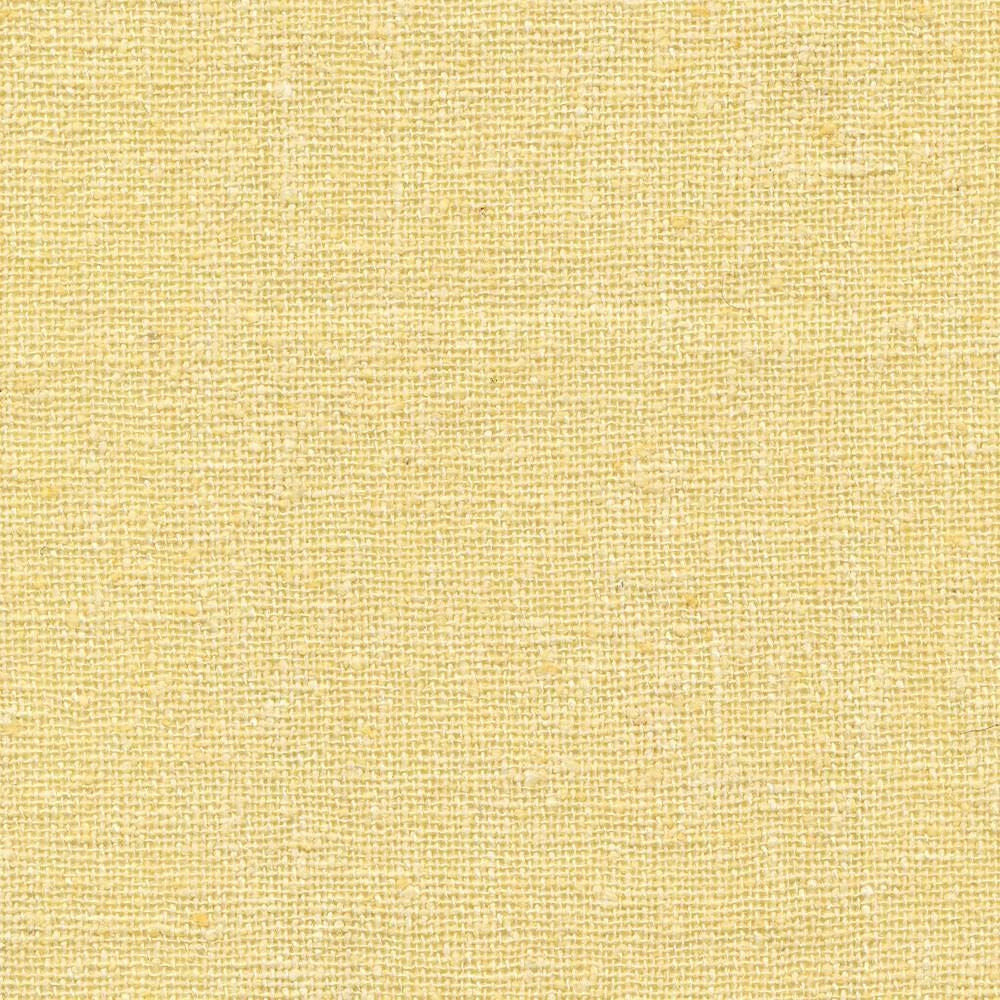 Shangri La Champagne by Kasmir Fabric 1410 100% Silk
 INDIA Not Tested Horizontal: N/A and Vertical: N/A 54 - Fabric Carolina -