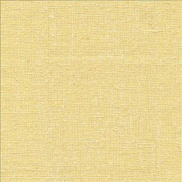 Shangri La Champagne by Kasmir Fabric 1410 100% Silk INDIA Not Tested H: N/A, V: N/A 54 - 55 - Fabric Carolina - Kasmir