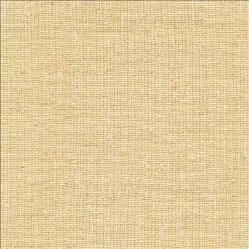Shangri La Ecru by Kasmir Fabric 1410 100% Silk INDIA Not Tested H: N/A, V: N/A 54 - 55 - Fabric Carolina - Kasmir