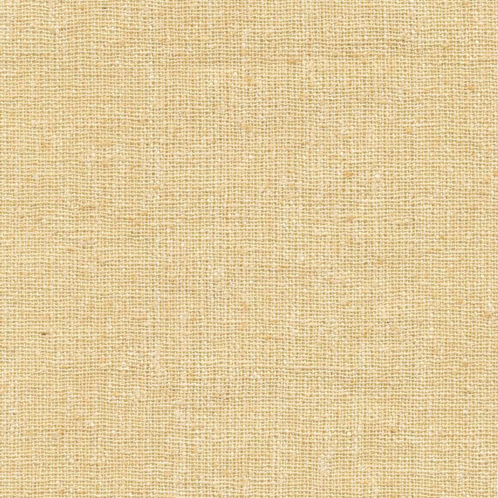 Shangri La Ecru by Kasmir Fabric 1410 100% Silk
 INDIA </p><p>Repeat: Horizontal: N/A and Vertical: N/A 54 - 55 - Fabric Carolina -