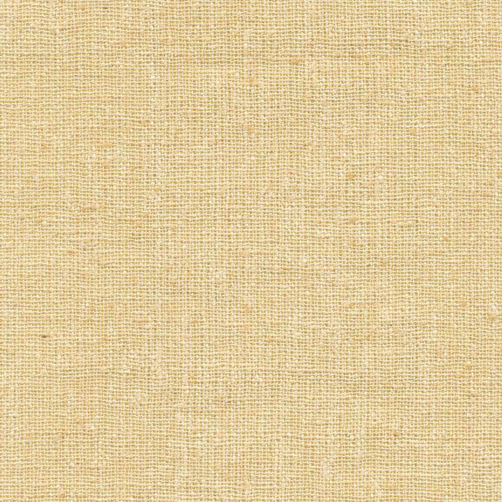 Shangri La Ecru by Kasmir Fabric 1410 INDIA Not Tested H: N/A, V:N/A 54 - 55 - Fabric Carolina - Kasmir