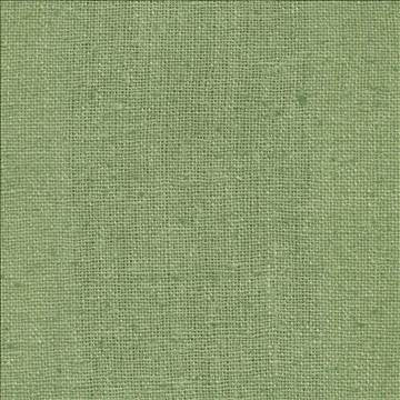 Shangri La Fern by Kasmir Fabric 1410 100% Silk INDIA Not Tested H: N/A, V: N/A 54 - 55 - Fabric Carolina - Kasmir