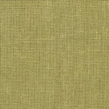 Shangri La Kiwi by Kasmir Fabric 1404 100% Silk INDIA Not Tested H: N/A, V: N/A 54 - 55 - Fabric Carolina - Kasmir