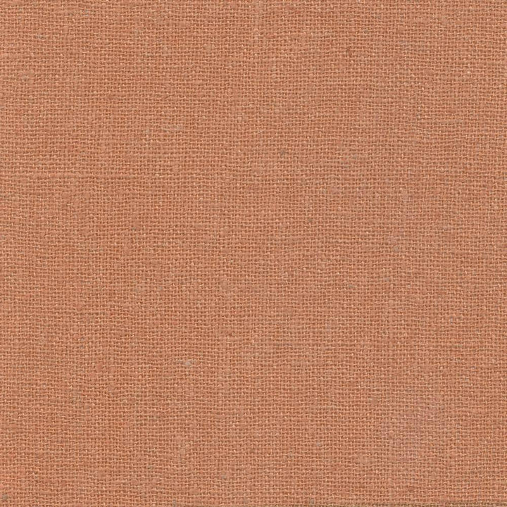 Shangri La Latte by Kasmir Fabric 1410 INDIA Not Tested H: N/A, V:N/A 54 - 55 - Fabric Carolina - Kasmir