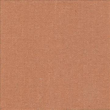 Shangri La Latte by Kasmir Fabric 1410 100% Silk INDIA Not Tested H: N/A, V: N/A 54 - 55 - Fabric Carolina - Kasmir