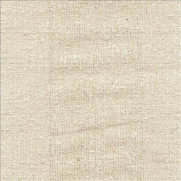 Shangri La Off White by Kasmir Fabric 1410 100% Silk INDIA Not Tested H: N/A, V: N/A 54 - 55 - Fabric Carolina - Kasmir