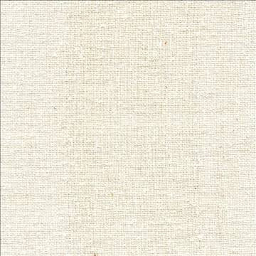 Shangri La Snow by Kasmir Fabric 1410 100% Silk INDIA Not Tested H: N/A, V: N/A 54 - 55 - Fabric Carolina - Kasmir