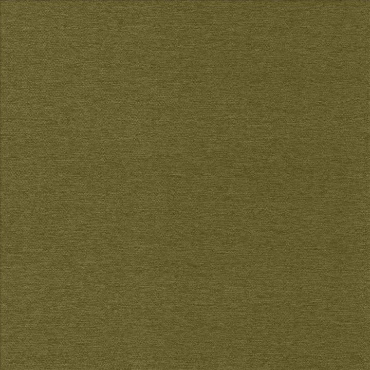 Sheena Avocado by Kasmir Fabric 5159 95% Polyester 5% Nylon CHINA 50,000 Wyzenbeek Double Rubs Horizontal: 0 Inches and Vertical: 0 Inches 54 - Fabric Carolina -