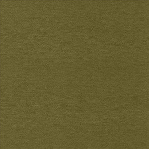 Sheena Avocado by Kasmir Fabric