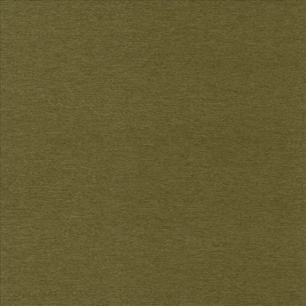 Sheena Avocado  by Kasmir Fabric See sample 95% Polyester
5% Nylon
 CHINA 50,000 Wyzenbeek Double Rubs </p><p>Repeat: Horizontal: N/A and Vertical: N/A 54  - Fabric Carolina -