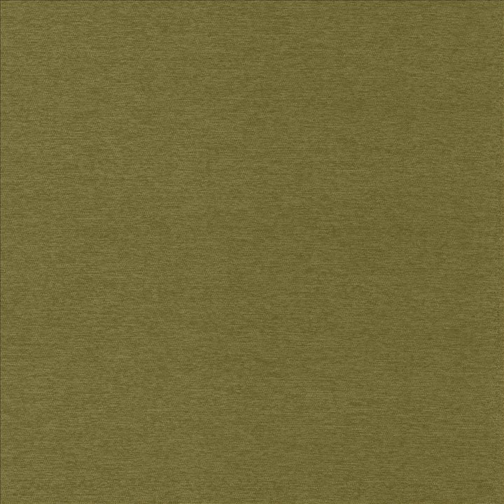 Sheena Avocado by Kasmir Fabric 5159 95% Polyester
5% Nylon
 CHINA </p><p>Repeat: Horizontal: N/A and Vertical: N/A 54 - Fabric Carolina -