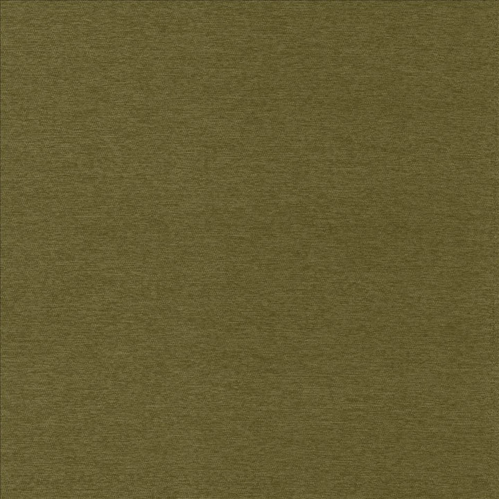Sheena Avocado by Kasmir Fabric 5159 95% Polyester
5% Nylon
 CHINA 50,000 Wyzenbeek Double Rubs </p><p>Repeat: Horizontal: N/A and Vertical: N/A 54 - Fabric Carolina -
