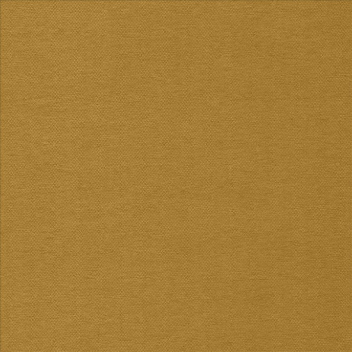 Sheena Saffron by Kasmir Fabric 5159 95% Polyester
5% Nylon
 CHINA 50,000 Wyzenbeek Double Rubs Horizontal: N/A and Vertical: N/A 54 - Fabric Carolina -