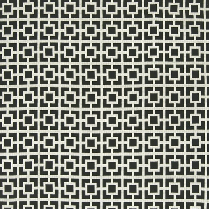 Sho Sho Shan Black Diamond by Kasmir Fabric 1369 CHINA 15,000 Wyzenbeek Double Rubs H: 3 6/8 inches, V:3 6/8 inches 54 - Fabric Carolina - Kasmir