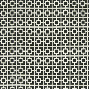 Sho Sho Shan Black Diamond by Kasmir Fabric
