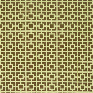 Sho Sho Shan Broccolini by Kasmir Fabric