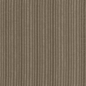 Shy Stripe Grey by Kasmir Fabric