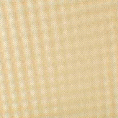 Sidney Bubbly by Kravet Contract Fabric
