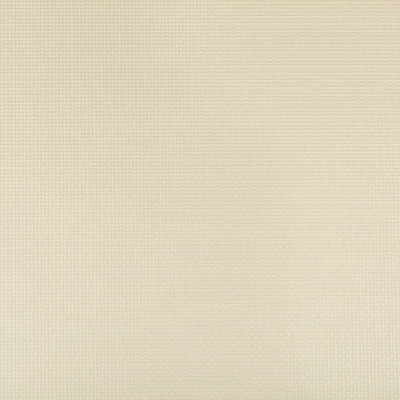 Sidney Papyrus by Kravet Contract Fabric