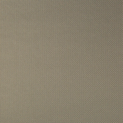 Sidney Porcini by Kravet Contract Fabric