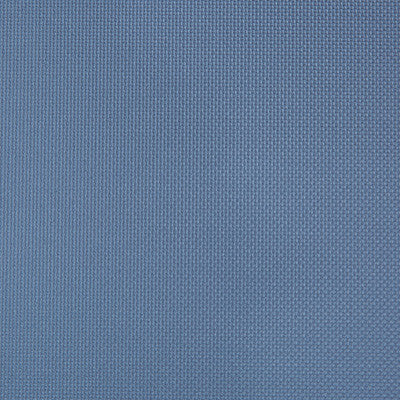 Sidney Blueberry by Kravet Contract Fabric