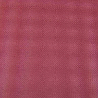 Sidney Raspberry by Kravet Contract Fabric