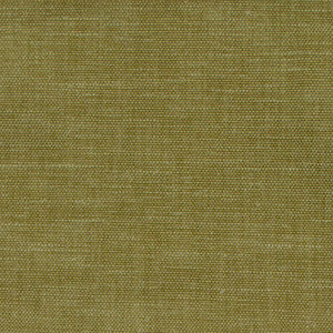 Sienty Green Tea by Europatex Fabric