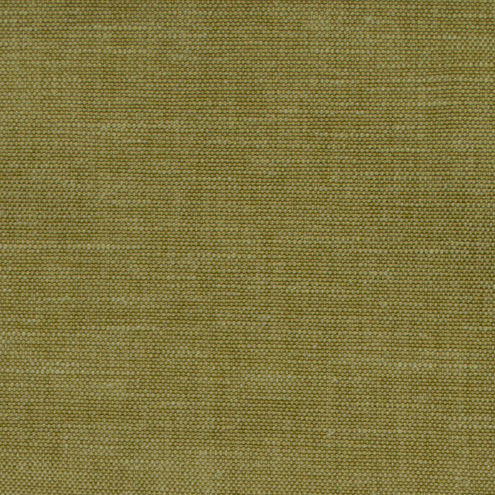 Sienty Green Tea by Europatex Fabric Sienty 71% Polyester, 29% Cotton 0.00" 55.00 inches - Fabric Carolina -