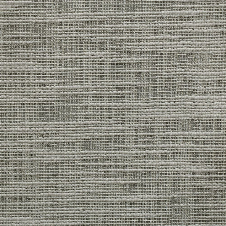 Silvassa Fog  by Kasmir Fabric 1479 83% Polyester 17% Cotton  INDIA  </p><p>Repeat: Horizontal: N/A and Vertical:  0 inches 55  - Fabric Carolina -