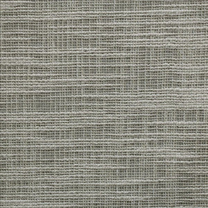 Silvassa Fog  by Kasmir Fabric