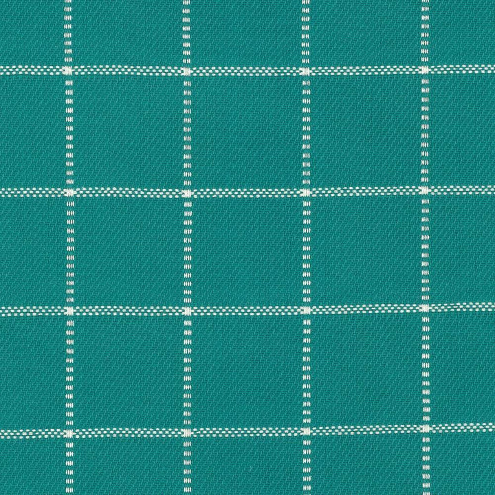 Skylar Check Caribe  by Kasmir Fabric See sample 100% Cotton
 INDIA 9,000 Wyzenbeek Double Rubs </p><p>Repeat: Horizontal: 2 2/8 inches and Vertical: 2 2/8 inches 54  - Fabric Carolina -