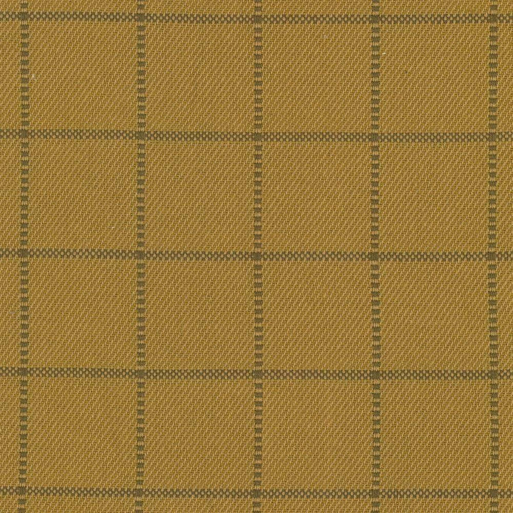 Skylar Check Oro by Kasmir Fabric 5069 INDIA 9,000 Wyzenbeek Double Rubs H: 2 2/8 inches, V:2 2/8 inches 54 - Fabric Carolina - Kasmir