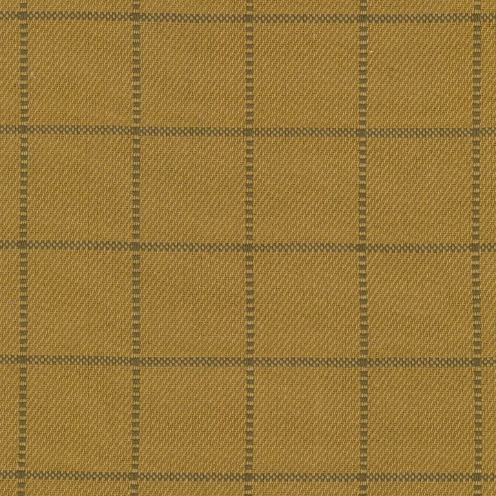 Skylar Check Oro by Kasmir Fabric 5069 100% Cotton
 INDIA 9,000 Wyzenbeek Double Rubs </p><p>Repeat: Horizontal: 2 2/8 inches and Vertical: 2 2/8 inches 54 - Fabric Carolina -