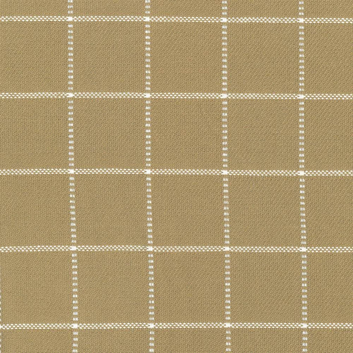 Skylar Check Sand by Kasmir Fabric 5066 100% Cotton
 INDIA 9,000 Wyzenbeek Double Rubs </p><p>Repeat: Horizontal: 2 2/8 inches and Vertical: 2 2/8 inches 54 - Fabric Carolina -