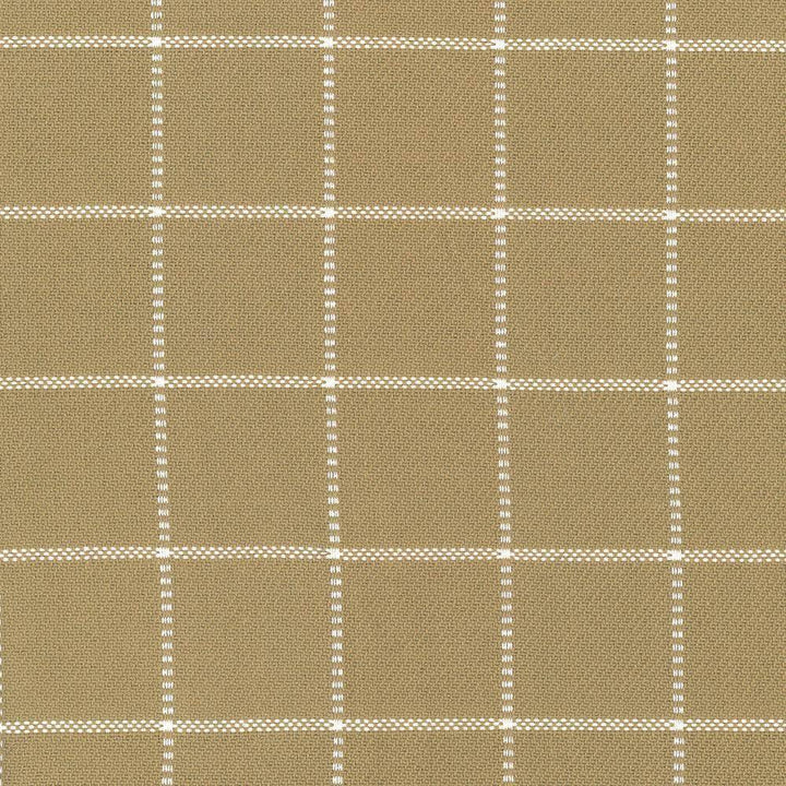 Skylar Check Sand by Kasmir Fabric 5066 INDIA 9,000 Wyzenbeek Double Rubs H: 2 2/8 inches, V:2 2/8 inches 54 - Fabric Carolina - Kasmir