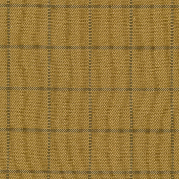 Skylar Check Oro by Kasmir Fabric 5069 100% Cotton
 INDIA </p><p>Repeat: Horizontal: 2 2/8 inches and Vertical: 2 2/8 inches 54 - Fabric Carolina -