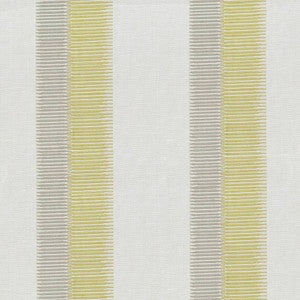 Sleek Stripe Citrine by Kasmir Fabric